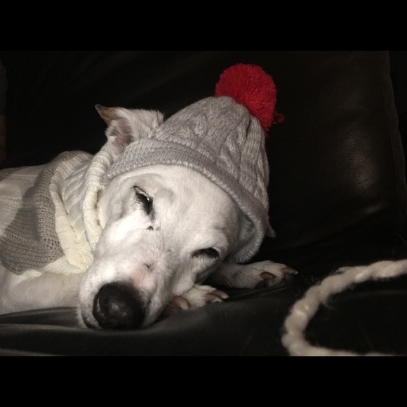 Meet Your Posher, Erika - Picture 5 of 8